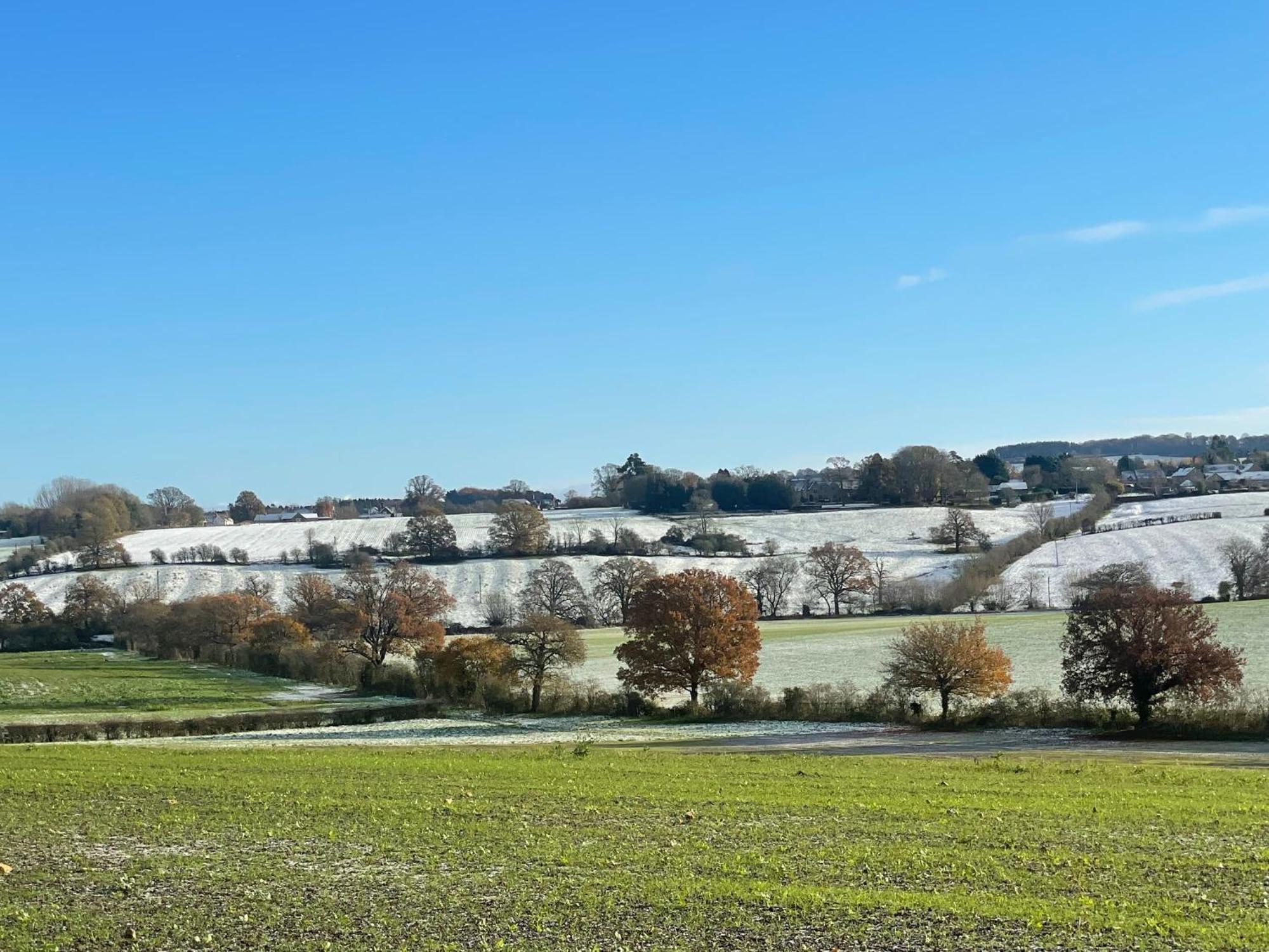Bank Cottage Studio - Luxury Cotswolds Haven For Two Shipston-on-Stour Exterior photo